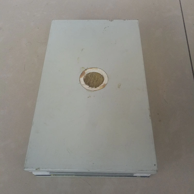 হস্তনির্মিত ক্লিনরুম প্যানেল